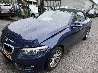 Vaurioauto  commercial vehicles BMW 2-serie 218i  Automaat Cabriolet 2018/1